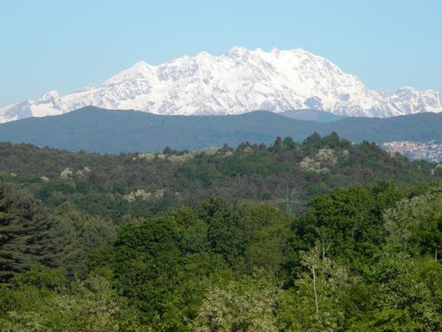 Monte Rosa dai boschi di Lentate Verbano